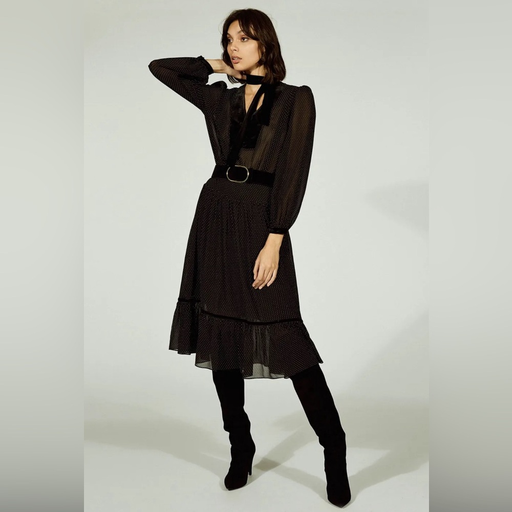 FRAME Velvet and Silk Swiss Dot Dress